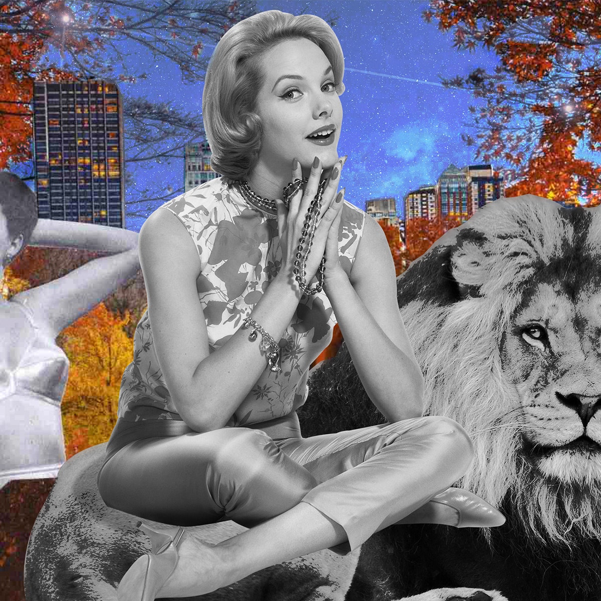 What November's Leo Horoscope Predictions Mean for You