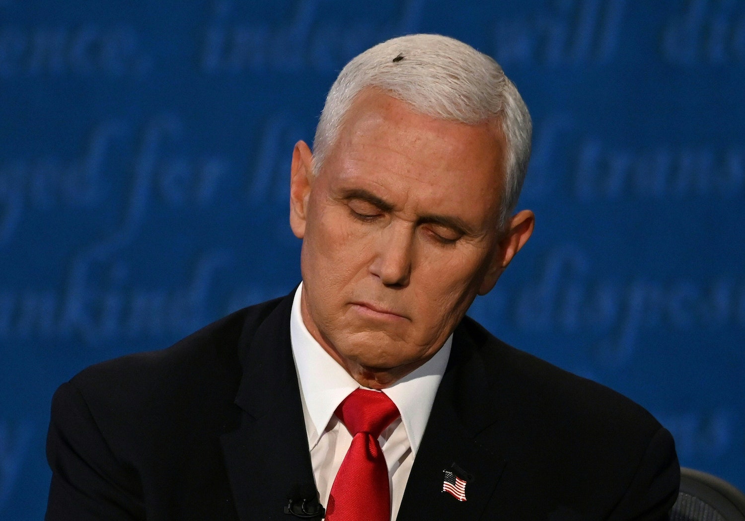 The Fly in Mike Pence's Hair Was the Standout at the Debate